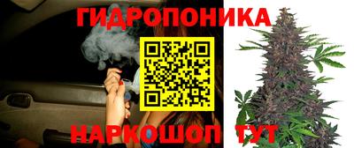 ешки Гусь-Хрустальный