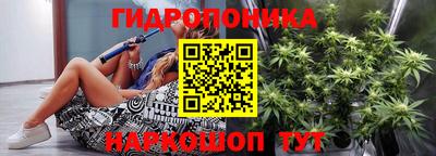 ешки Гусь-Хрустальный