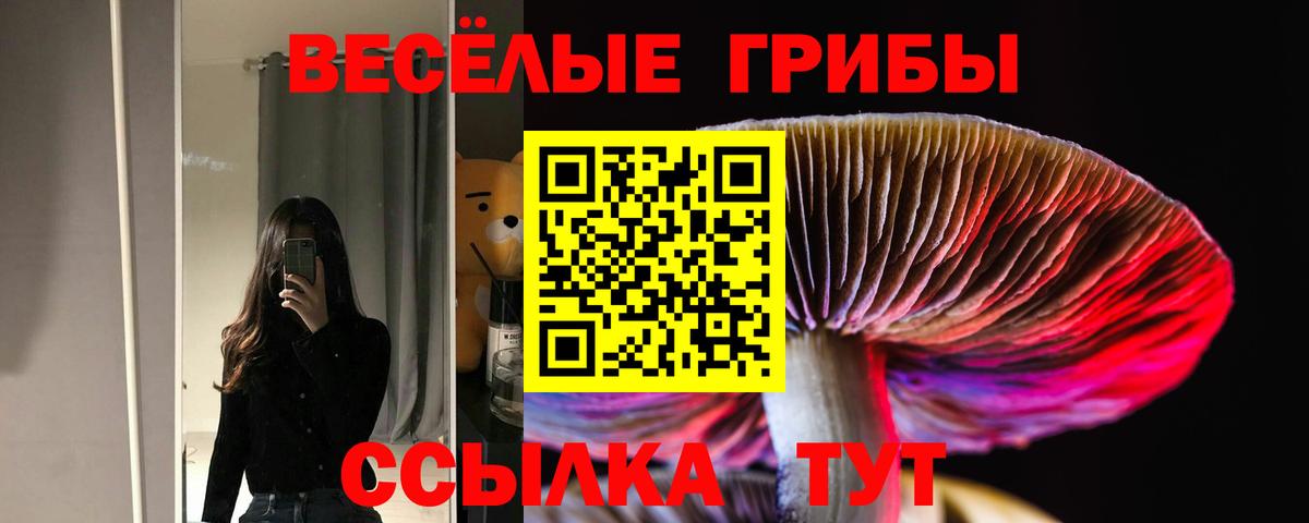 Псилоцибиновые грибы MAGIC MUSHROOMS Мценск